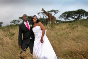 black wedding couple posing with Giraffe in the background